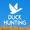 Duck Hunting TV